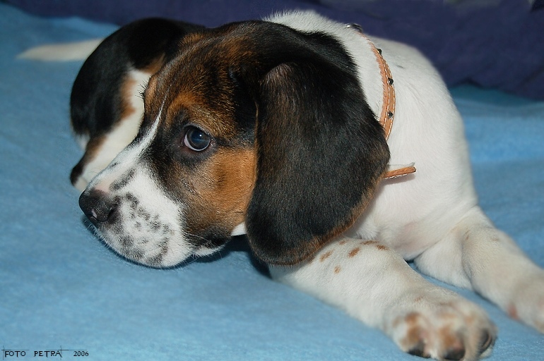 DSC_4254.jpg