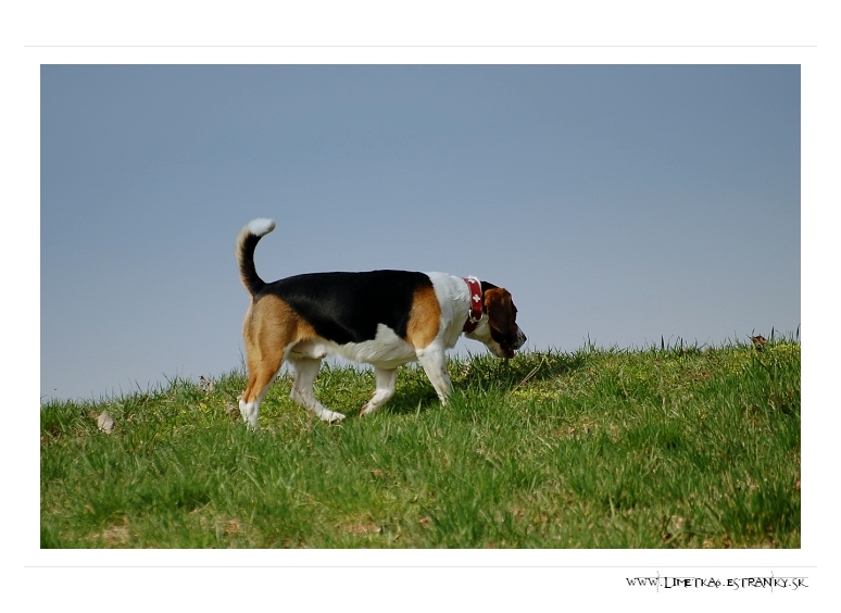 DSC_1559.jpg
