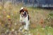 DSC_7797b.jpg